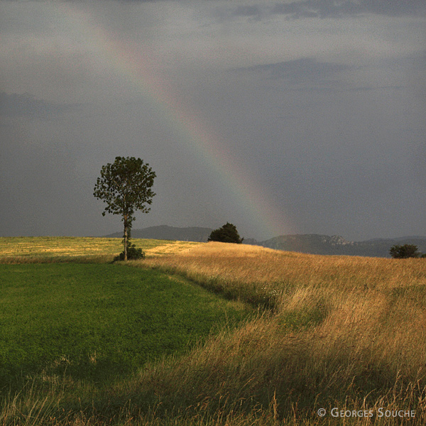 Les Rives, Larzac