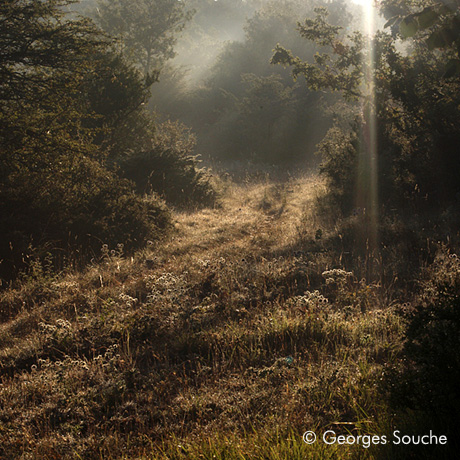 Matin d'été, La Vacquerie