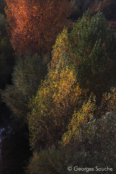 Vallée de la Lergue, novembre 2010