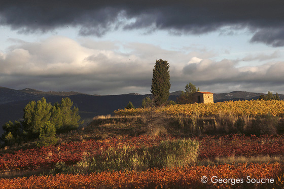maset_101103_221 Vallée de l'Hérault