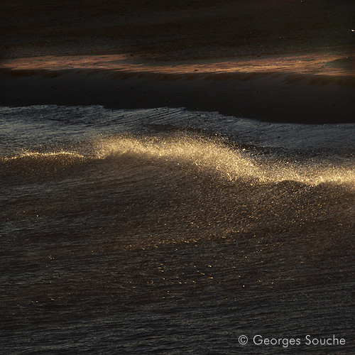 Plage des Aresquiers, septembre 2010