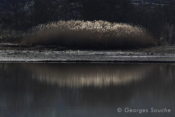 miroirs_110118_7 Salagou reflets