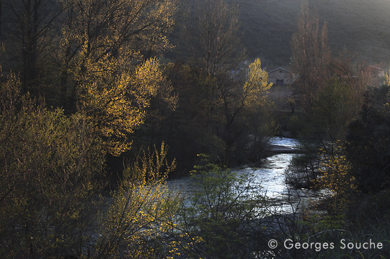 lergue_110324_79 La Lergue