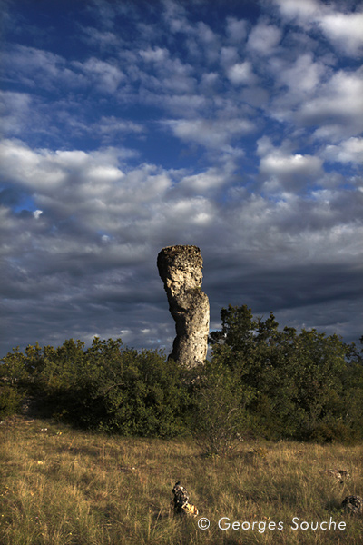 Larzac, août 2011