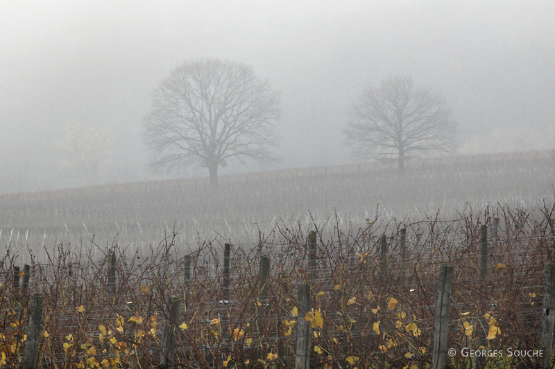 Alsace, novembre 2010