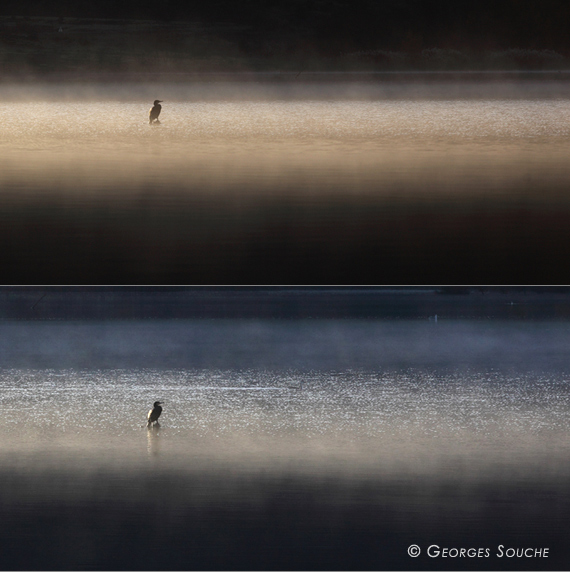 Salagou 2011. Diptyque à l'oiseau, décembre