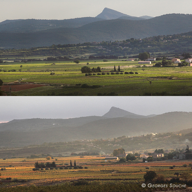 diptyque_pch Vignoble de Saint-Saturnin, printemps et automne