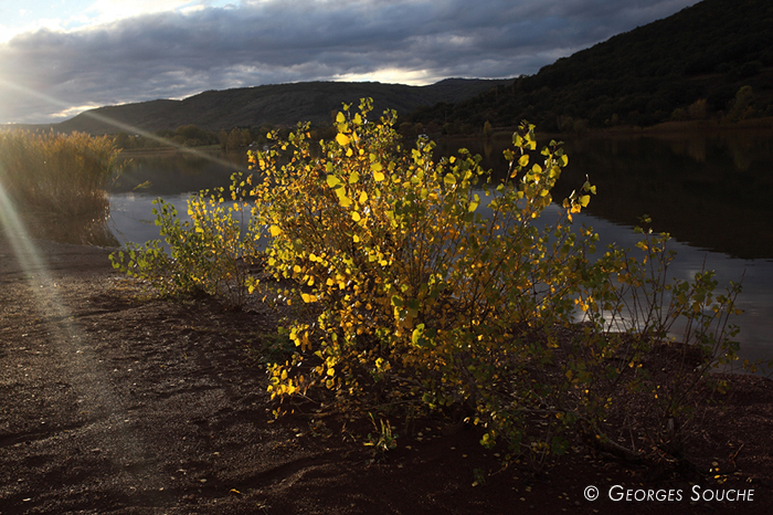 Lac Salagou, 10/11/2012