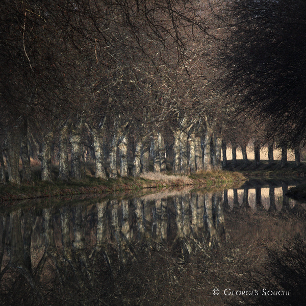 Canal du midi, janv. 2013