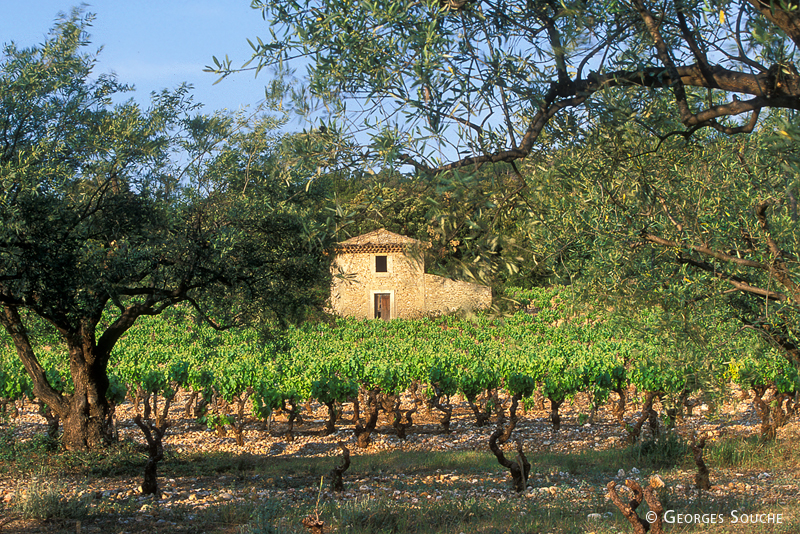 Terrasses du Larzac