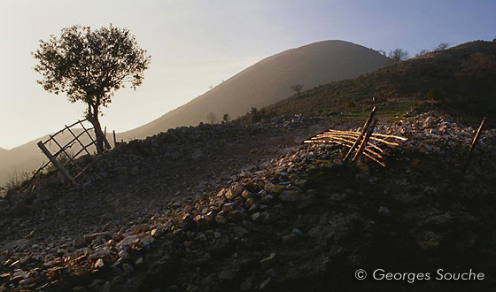 Cévennes, 1994