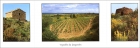 L.39. Vignoble du Languedoc. Triptyque