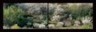 LP.07. Cerisiers en Haut-Languedoc. Panoramique pliable
