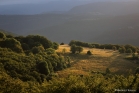 Plateau de l'Escandorgue