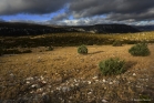 Entre Larzac et Séranne