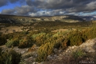 Entre Larzac et Séranne