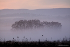 Brume matinale sur la vallée de l'Hérault