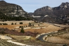 Vignes en terrasses, Pégairolles de l'Escalette