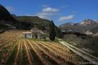 Terroir de l'Escalette