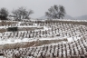 Escalette, hiver #1, Terrasses du Larzac