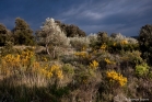 Vallée de l'Hérault