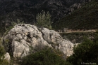 Monts de Saint Guilhem