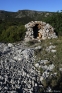 Capitelle en garrigue