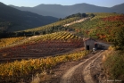 Vignoble de Roquebrun