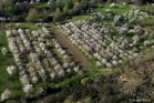 Cerisiers, Vallée du Jaur