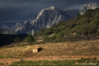 Vignoble de Berlou