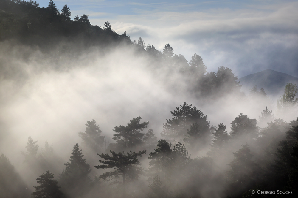 Haut-Languedoc 2014