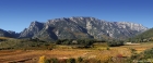 Le Caroux depuis la vallée de l'Orb