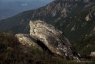 Massif du Caroux