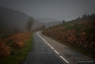 Route de l'Espinouse, un jour d'automne pluvieux