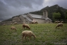 Boisset, Parc Naturel du Haut-Languedoc