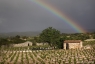 Saint-Jean de Minervois, Parc Naturel du Haut-Languedoc