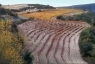 Haut Minervois, Parc Naturel du Haut-Languedoc