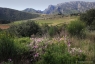 Vallée de l'Orb, Parc Naturel du Haut-Languedoc