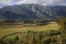 Le Caroux depuis la vallée de l'Orb