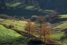 Vers Fraisse-sur-Agout, Parc Naturel du Haut-Languedoc