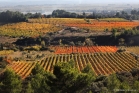 Vignes en automne en Minervois