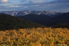 Corbières (Cascastel)