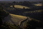 Minervois (Gorges de la Cesse près de Minerve) 