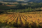 Près de Minerve