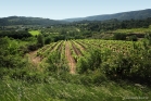 Près de Félines-Minervois