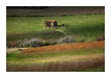 14 - Le Bosc - Vallée de la Lergue