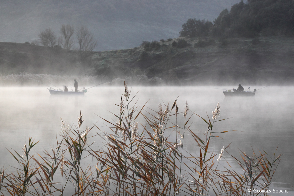 Lac du Salagou, 2011