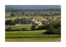 gso_1706011296_caizergues