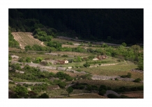 gso_2105011682