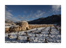 gso_2301209019